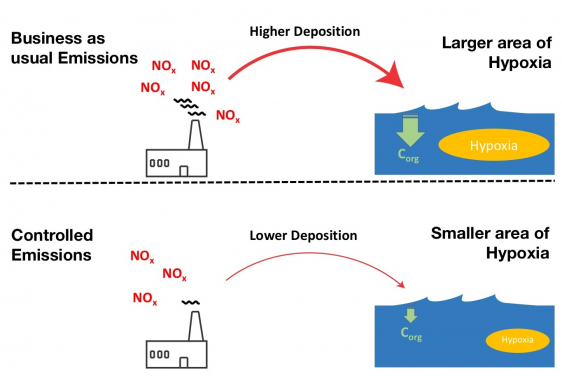 從大氣的NOx排放到海洋缺氧產生的連鎖效應 ；文章插圖
(https://pubs.acs.org/doi/abs/10.1021/acs.est.0c00706)